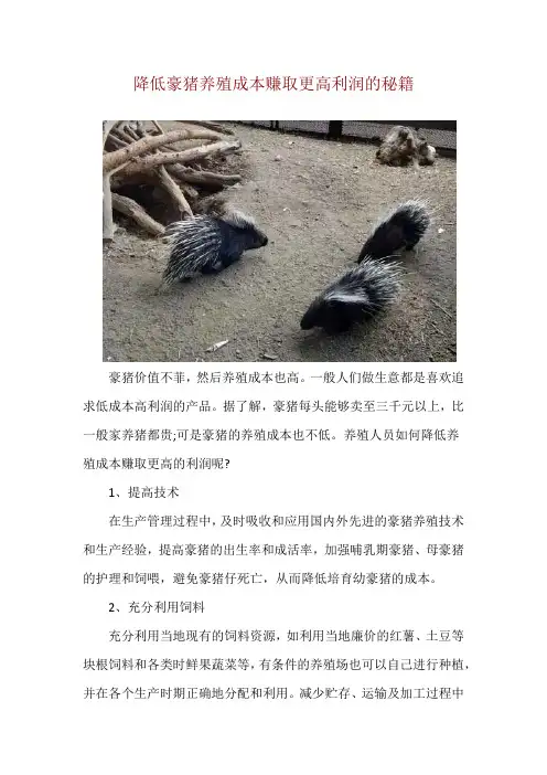 降低豪猪养殖成本赚取更高利润的秘籍