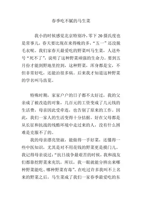 春季吃不腻的马生菜