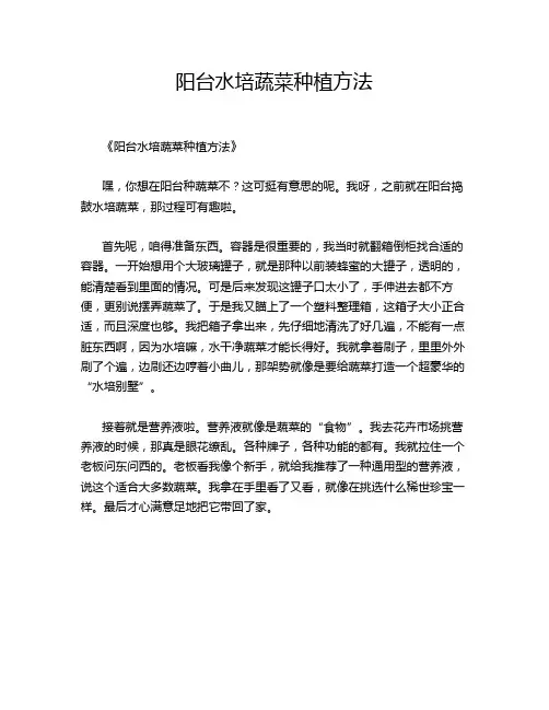 阳台水培蔬菜种植方法