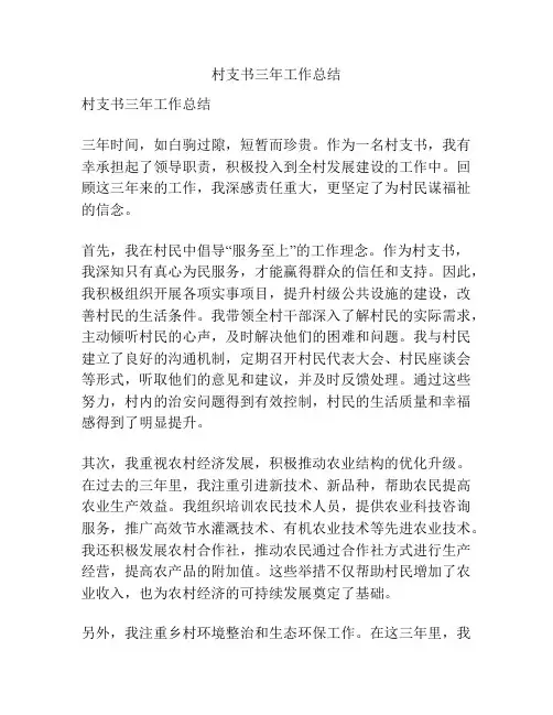 村支书三年工作总结