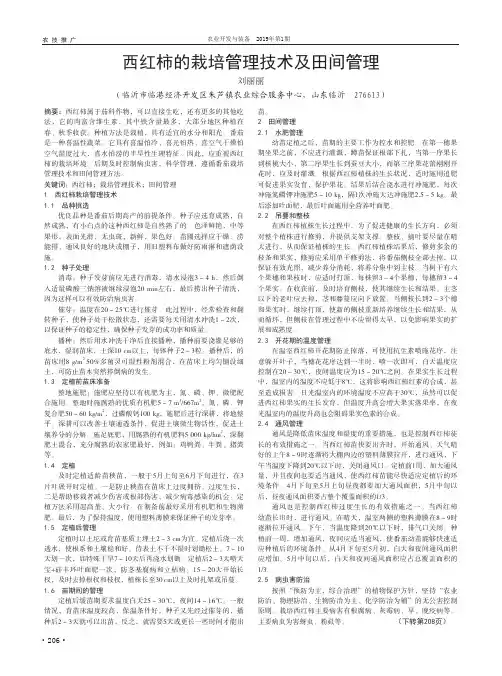 西红柿的栽培管理技术及田间管理
