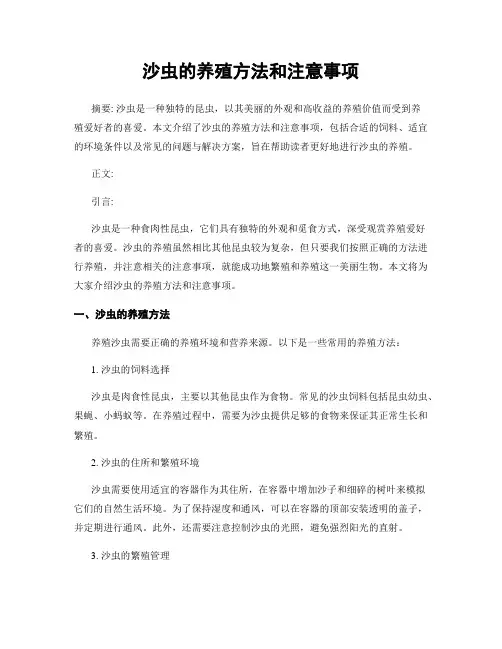 沙虫的养殖方法和注意事项