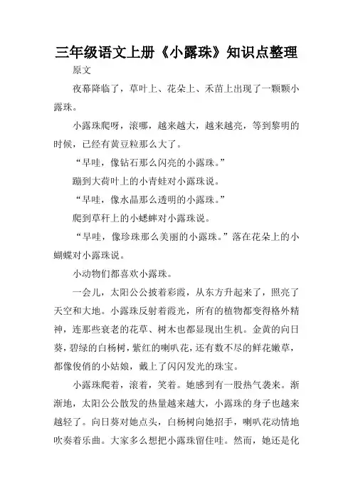 三年级语文上册《小露珠》知识点整理