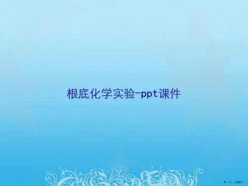 基础化学实验-ppt课件