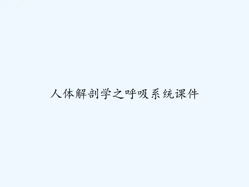 人体解剖学之呼吸系统课件-PPT