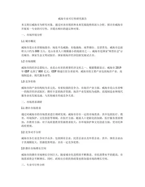 威海专业可行性研究报告