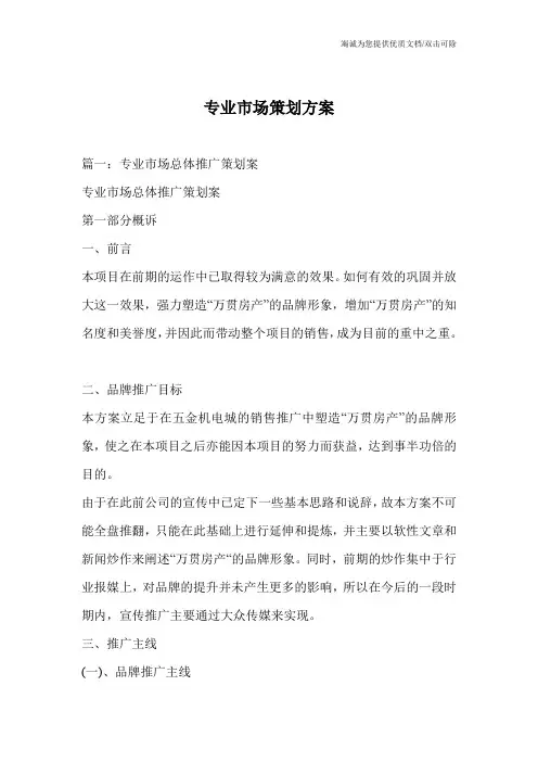 专业市场策划方案