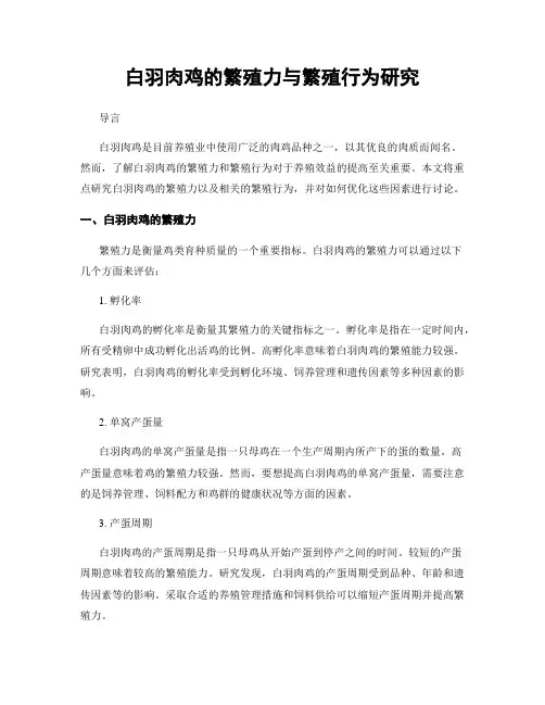 白羽肉鸡的繁殖力与繁殖行为研究