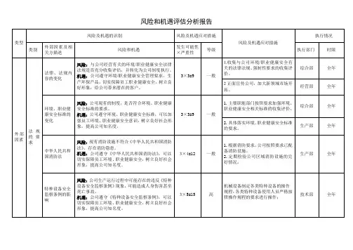 风险和机遇评估分析报告