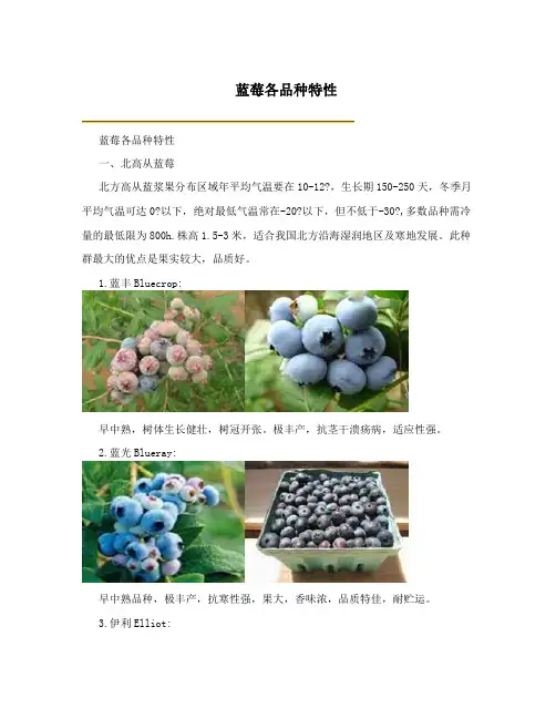 蓝莓各品种特性