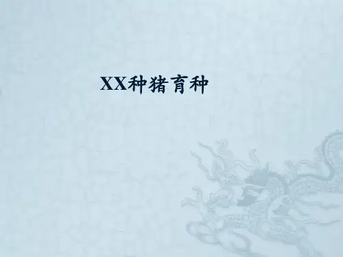育种方案