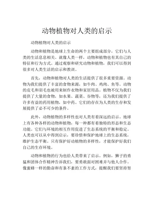 动物植物对人类的启示