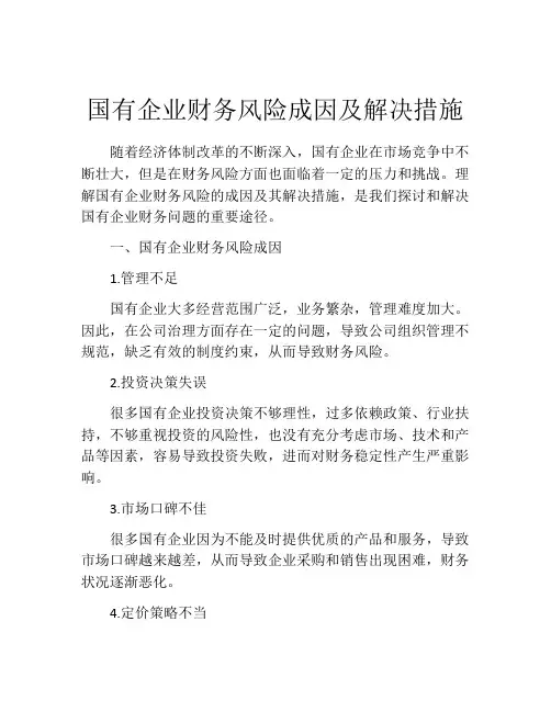 国有企业财务风险成因及解决措施