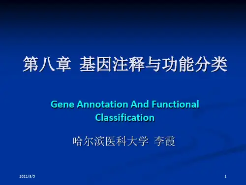 go基因注释与功能分类
