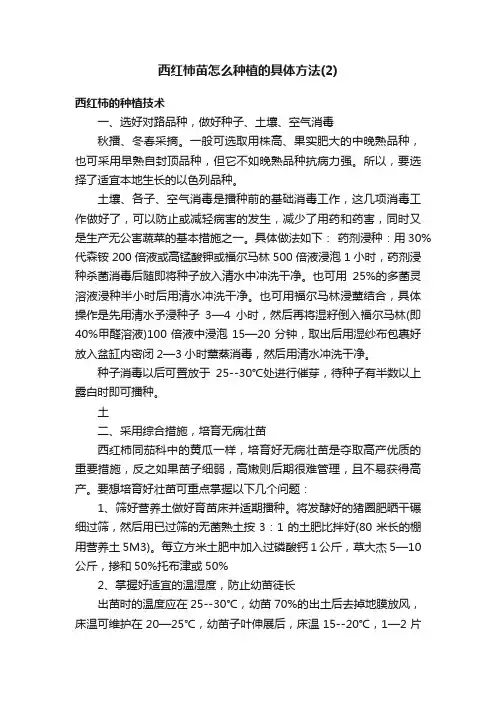 西红柿苗怎么种植的具体方法（2）