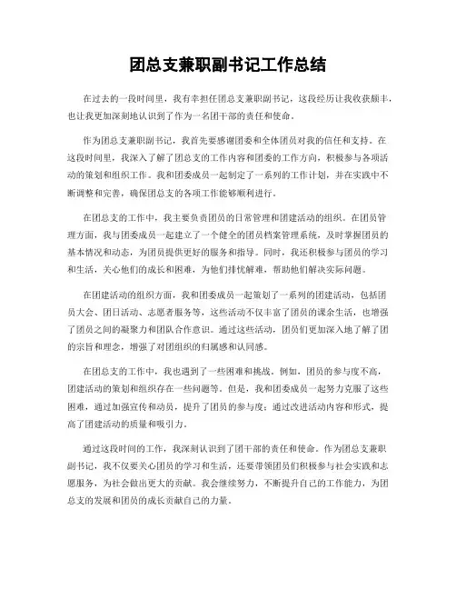 团总支兼职副书记工作总结