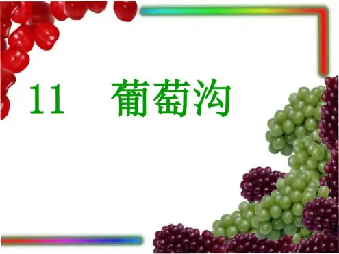 公开课《葡萄沟》PPT课件-副本