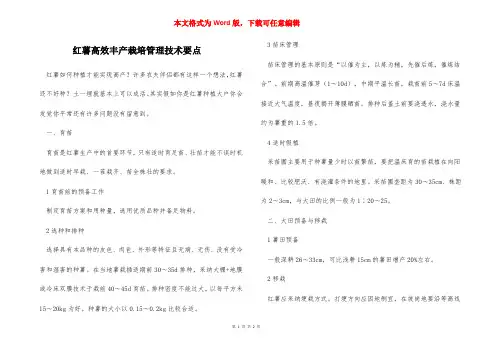 红薯高效丰产栽培管理技术要点