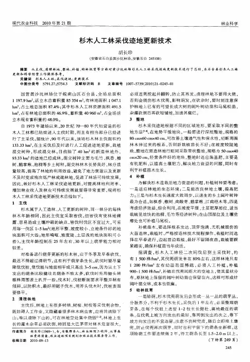 杉木人工林采伐迹地更新技术