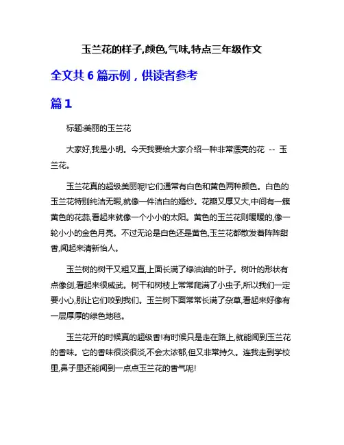 玉兰花的样子,颜色,气味,特点三年级作文