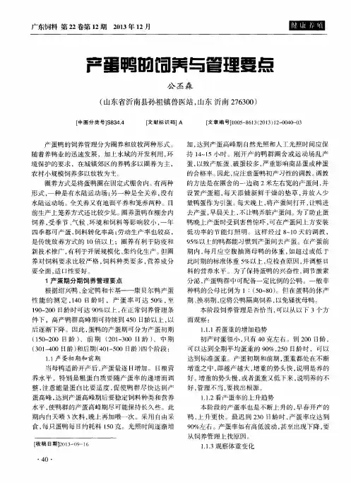 产蛋鸭的饲养与管理要点
