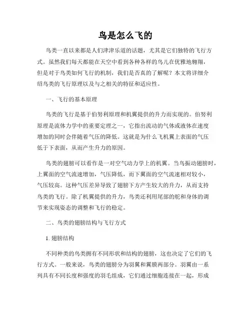 鸟是怎么飞的