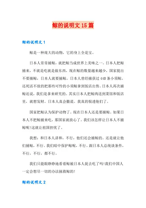 鲸的说明文15篇