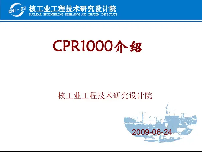 CPR1000介绍