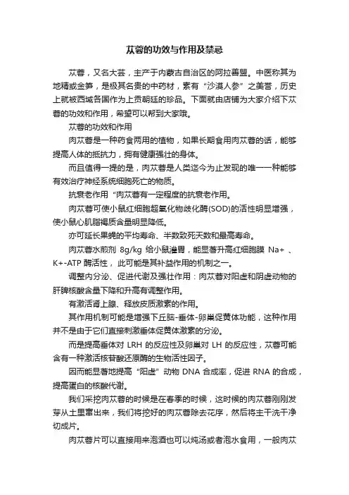 苁蓉的功效与作用及禁忌