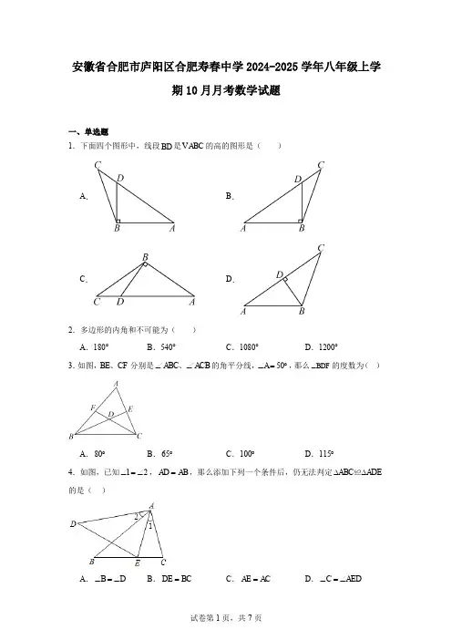 安徽省合肥市庐阳区合肥寿春中学2024-2025学年八年级上学期10月月考数学试题