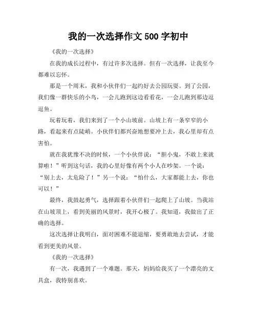 我的一次选择作文500字初中