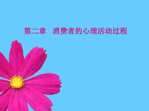 第二章消费心理学.pptx