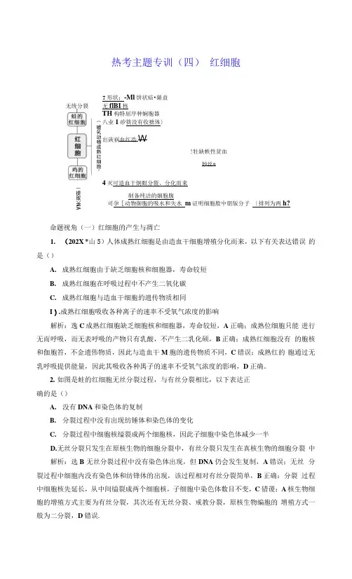 热考主题专训(四)  红细胞