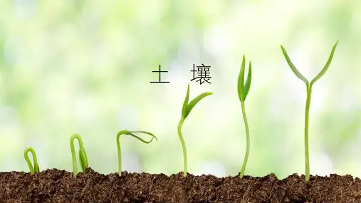 人教版高一 地理 必修一 第五章 第二节 土壤ppt课件