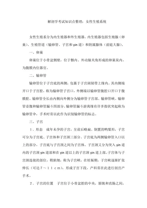 解剖学考试知识点整理：女性生殖系统