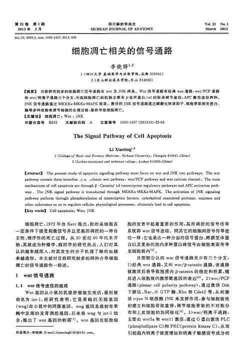 细胞凋亡相关的信号通路