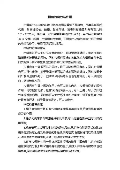 柑橘的功效与作用