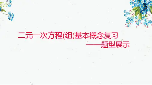 人教版数学七年级下册第8章二元一次方程组小题分类(共13张PPT)