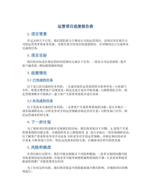运营项目进度报告表