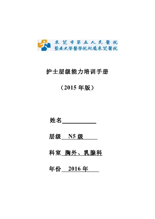 N5层级