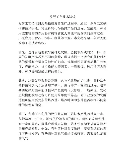 发酵工艺技术路线