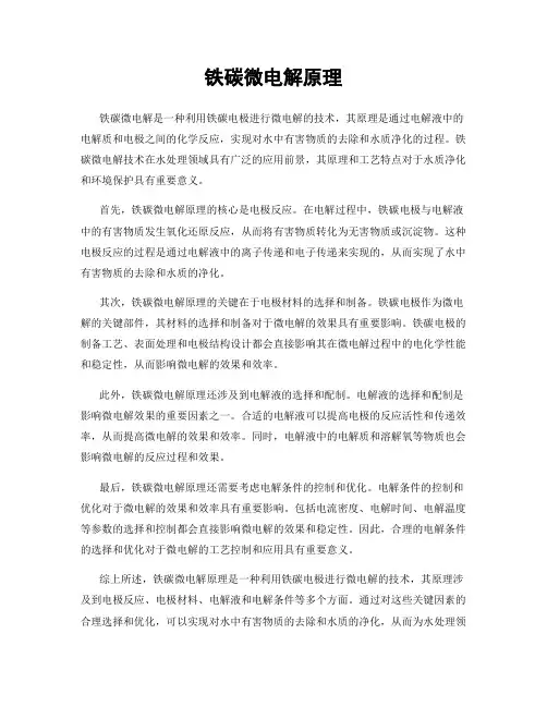 铁碳微电解原理