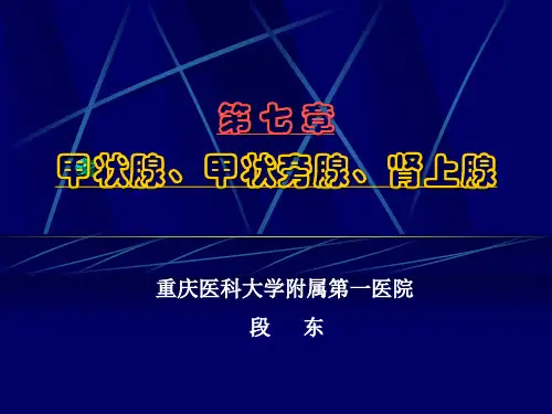 甲状腺、甲状旁腺、肾上腺 核医学