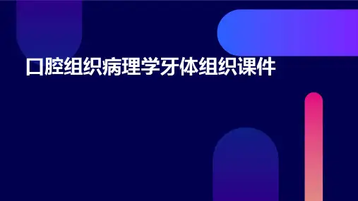 口腔组织病理学牙体组织课件