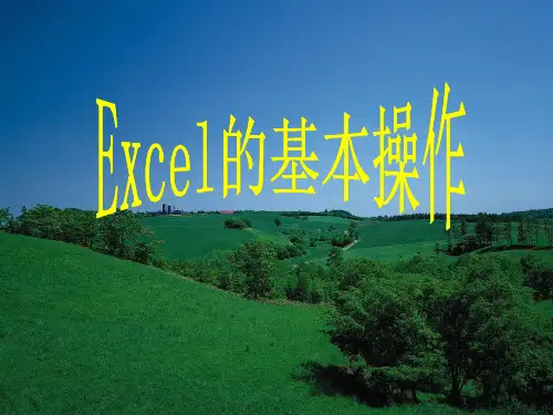 初二信息技术用Excel 处理数据
