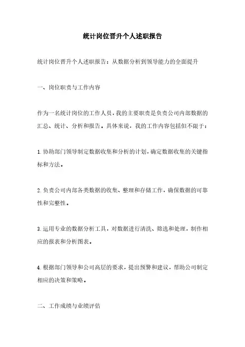 统计岗位晋升个人述职报告