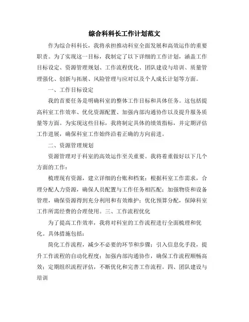 综合科科长工作计划范文