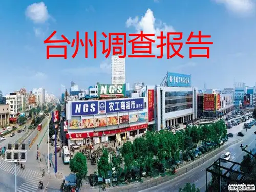 台州调查报告