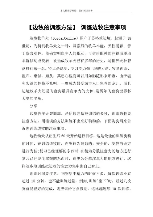 【边牧的训练方法】 训练边牧注意事项