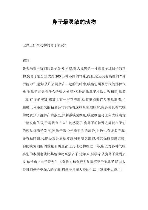 鼻子最灵的是什么动物